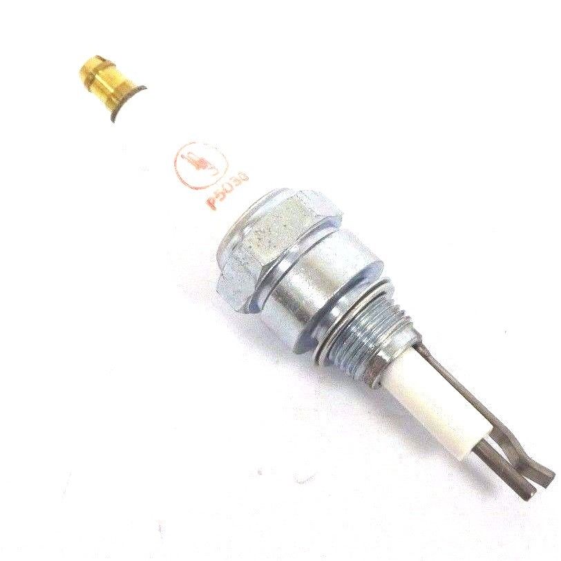 P5030 (13047) - Spark Igniter